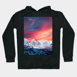 Polar Bears Hoodie